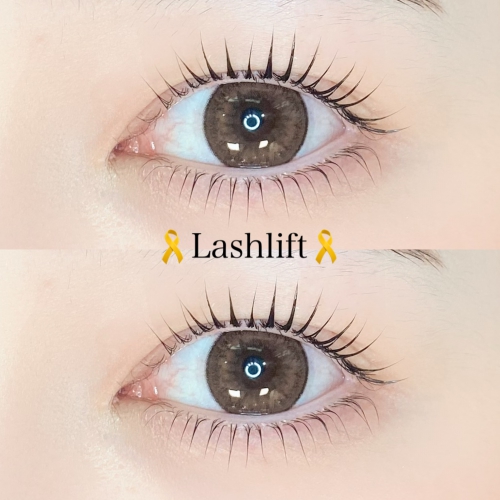 ラッシュリフト上下