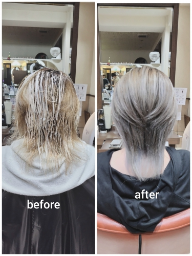 シークレットハイライトで白髪ぼかしをしませんか？