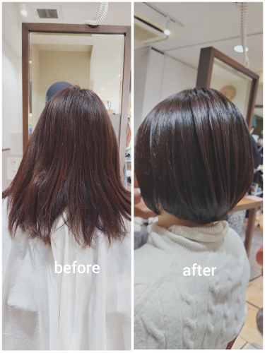 髪質改善カラーで髪をキレイにしませんか？