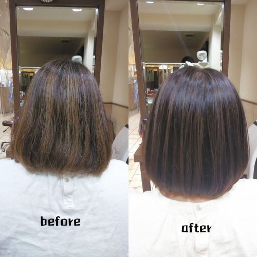 前回いれたハイライトカラーのメンテナンス