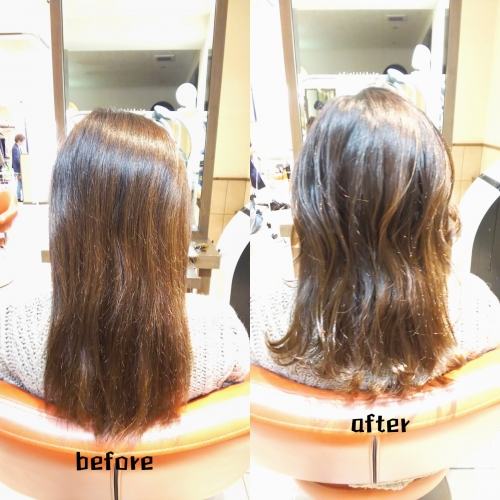 メンテナンスカット☆