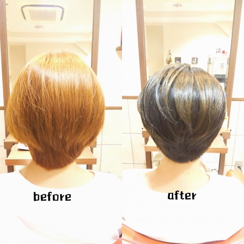 オリーブアッシュ☆