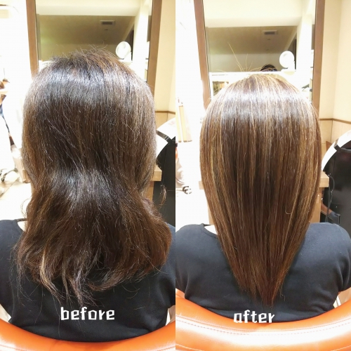 プレミアム酸熱TR、超音波ハホニコTRで髪の若返りをしませんか？