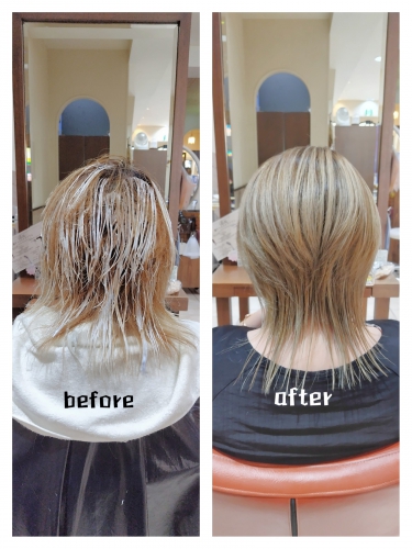 シークレットハイライトで白髪ぼかしをしませんか？