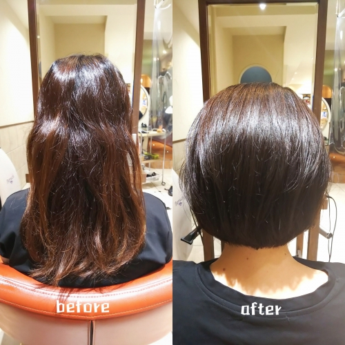 伸ばしていた髪をバッサリカット まとまるボブ