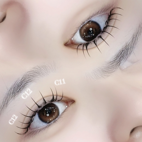 フラットラッシュ