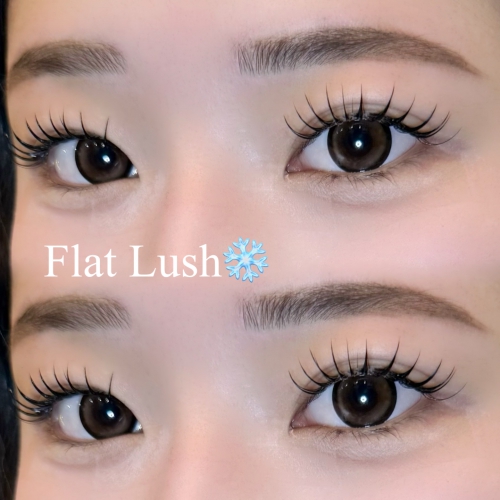 フラットラッシュ